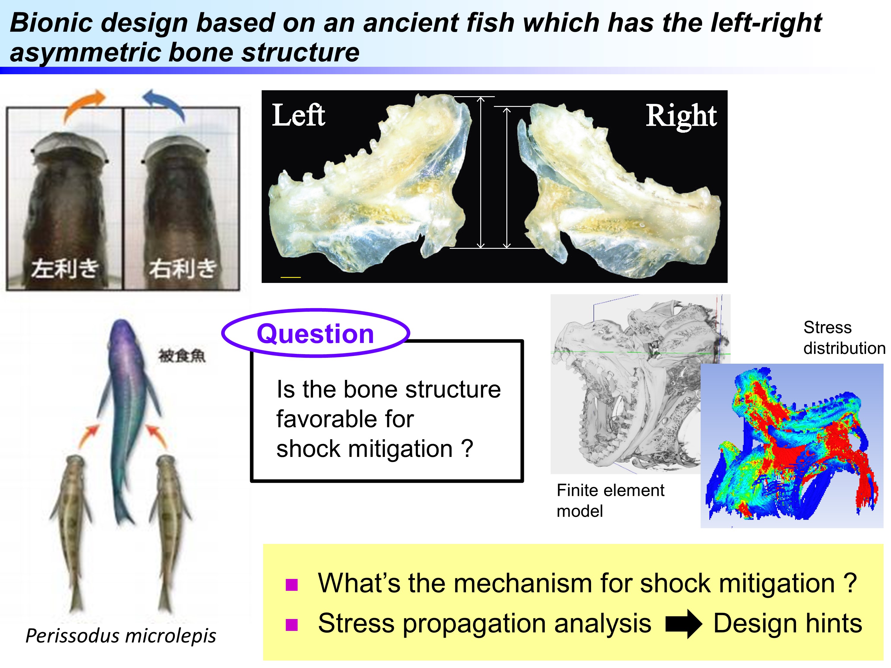 Figure of Reseach Theme