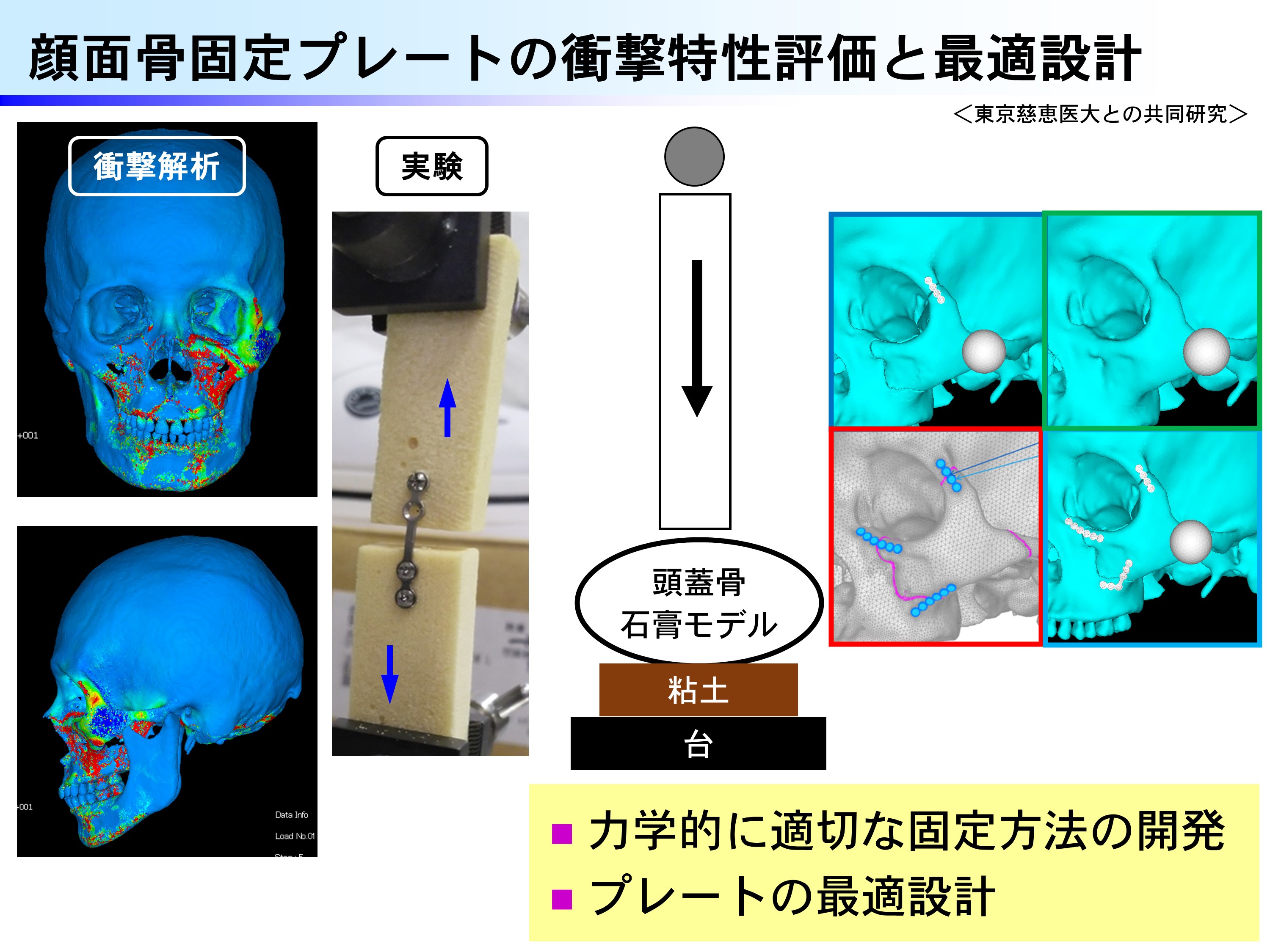 研究内容の図