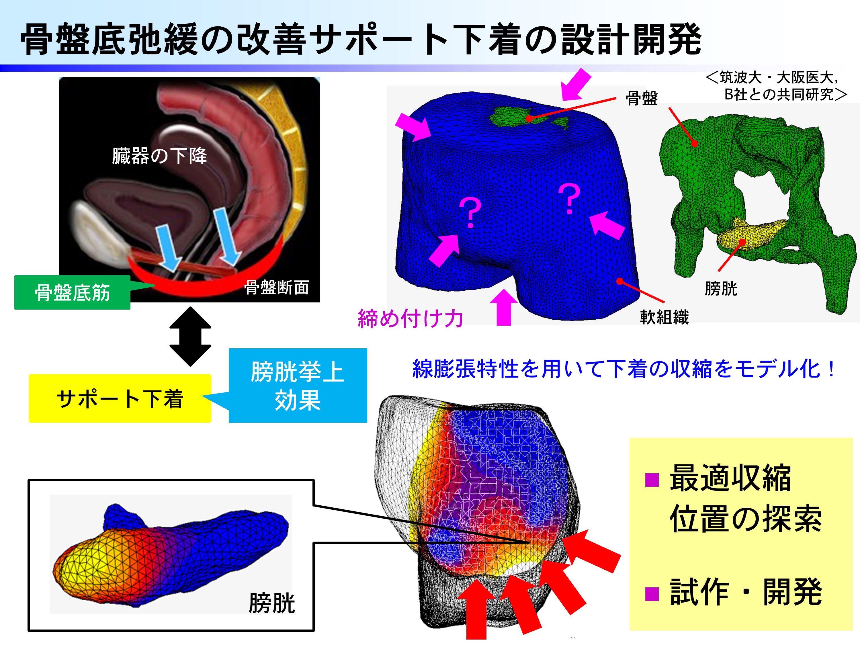 研究内容の図